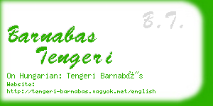 barnabas tengeri business card